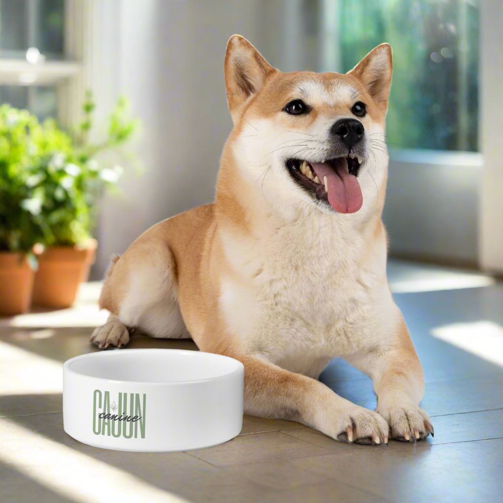 Ceramic Pet Bowl