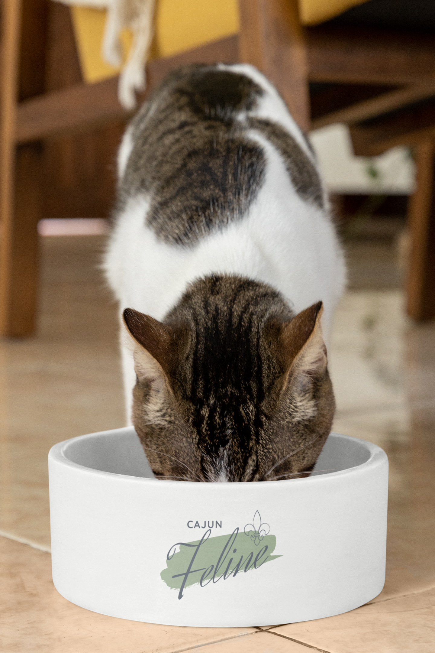 Pet Bowl (Cat)